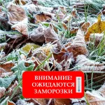 ЭКСТРЕННОЕ ПРЕДУПРЕЖДЕНИЕ